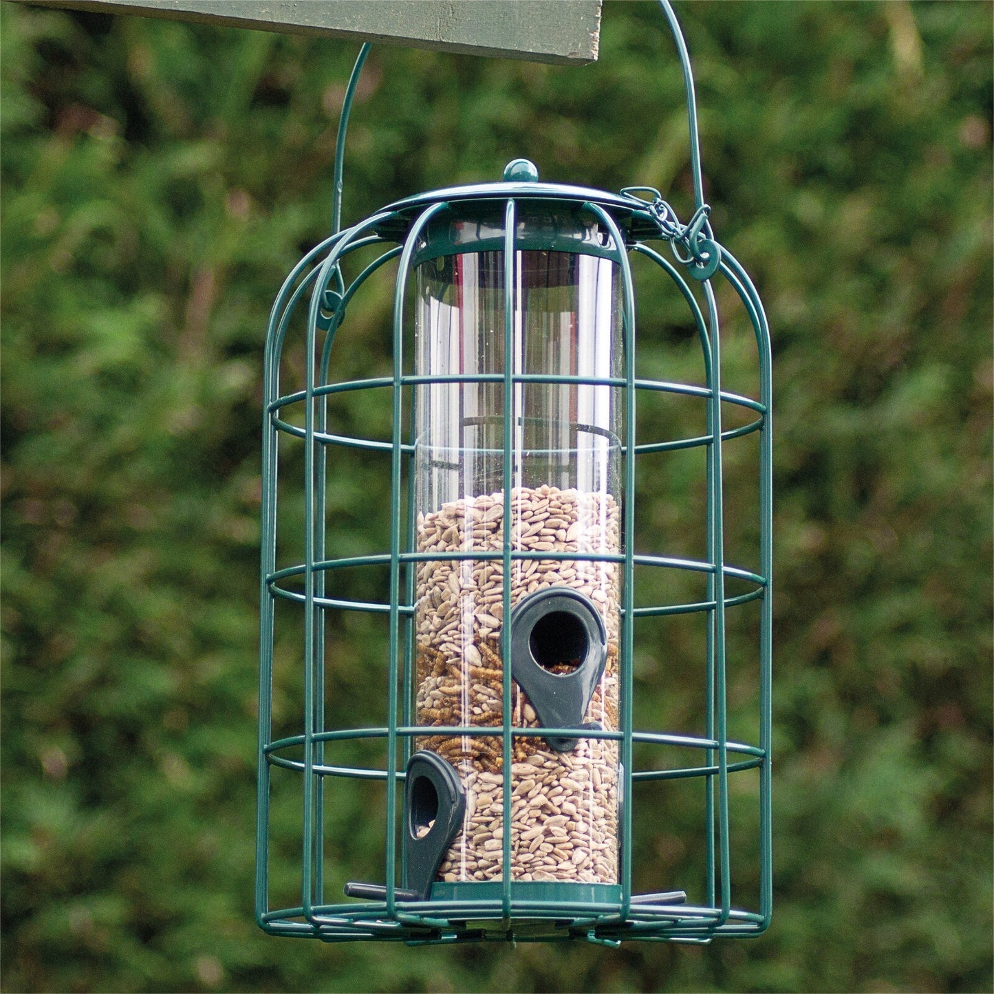 Bird Feeder Squirrel Resistant Bird Hanging Metal Feeding Station Green