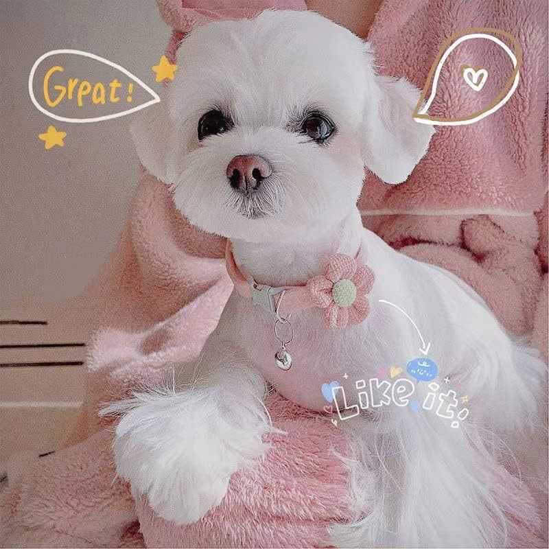Small Dog Collar Dog Collar For Girl With Flower Puppy Collar With Bell Adjustable Little Dog Collar