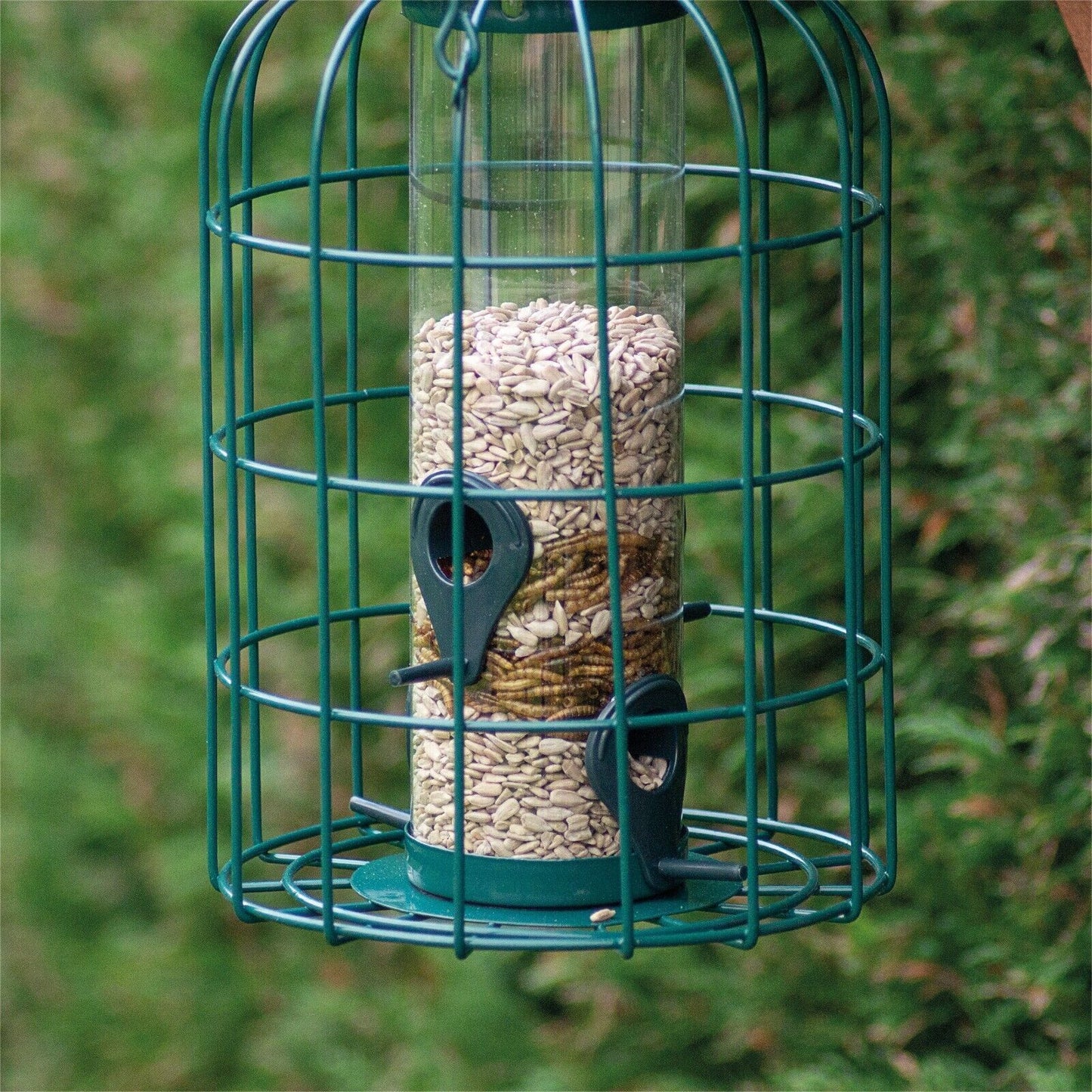 Bird Feeder Squirrel Resistant Bird Hanging Metal Feeding Station Green
