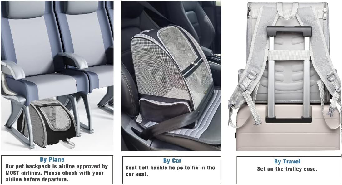 Innovative Traveller Bubble Backpack Pet Carriers For Cats And Dogs