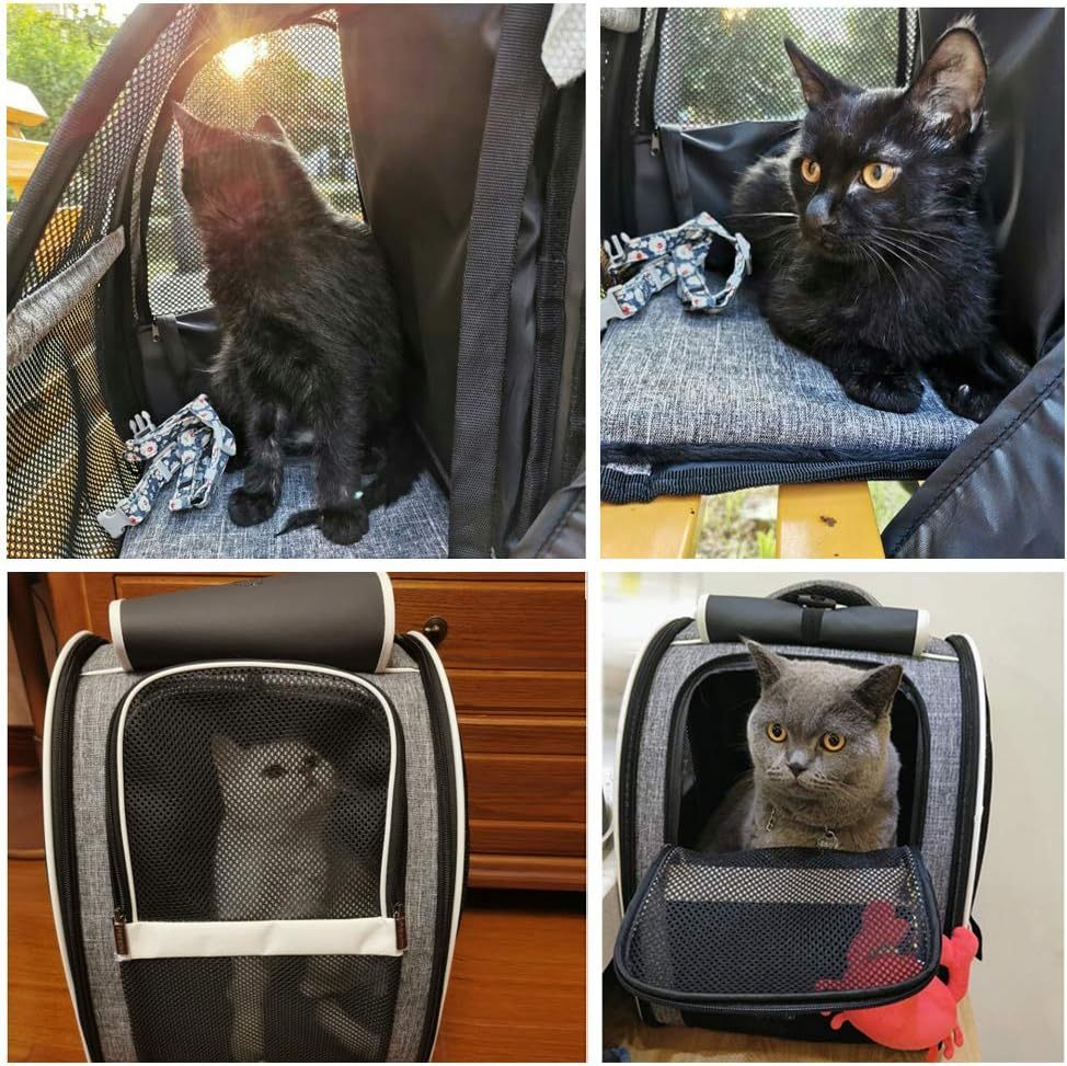 Innovative Traveller Bubble Backpack Pet Carriers For Cats And Dogs